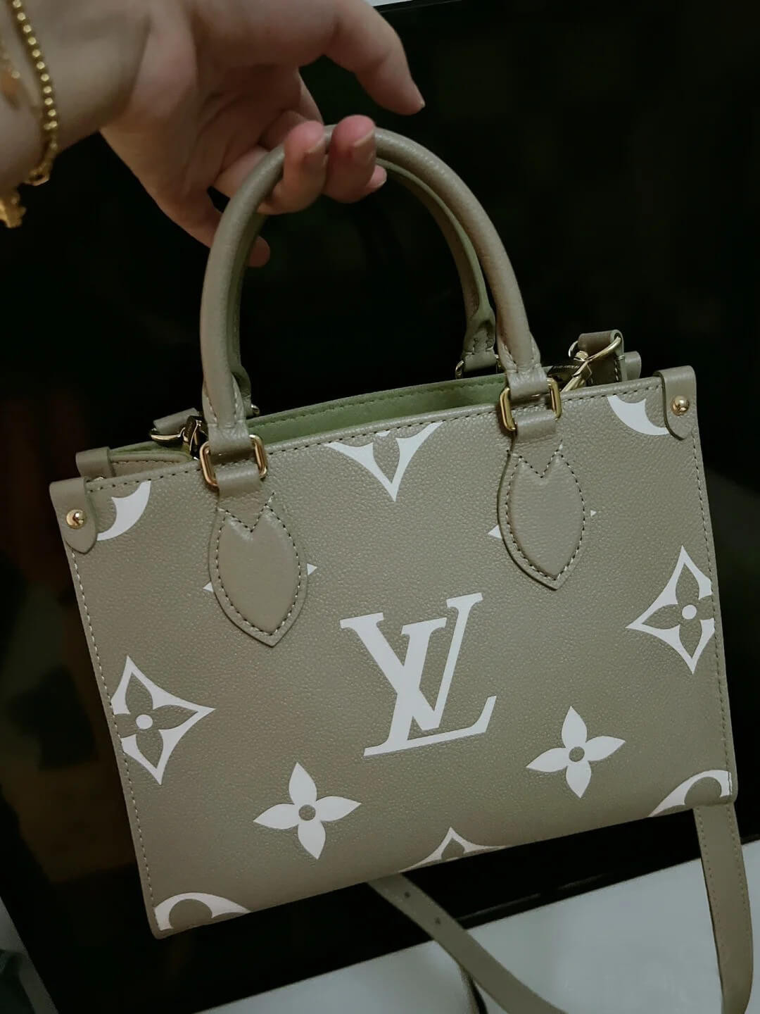 Louis Vuitton OnTheGo PM M46647 Kaki Creme