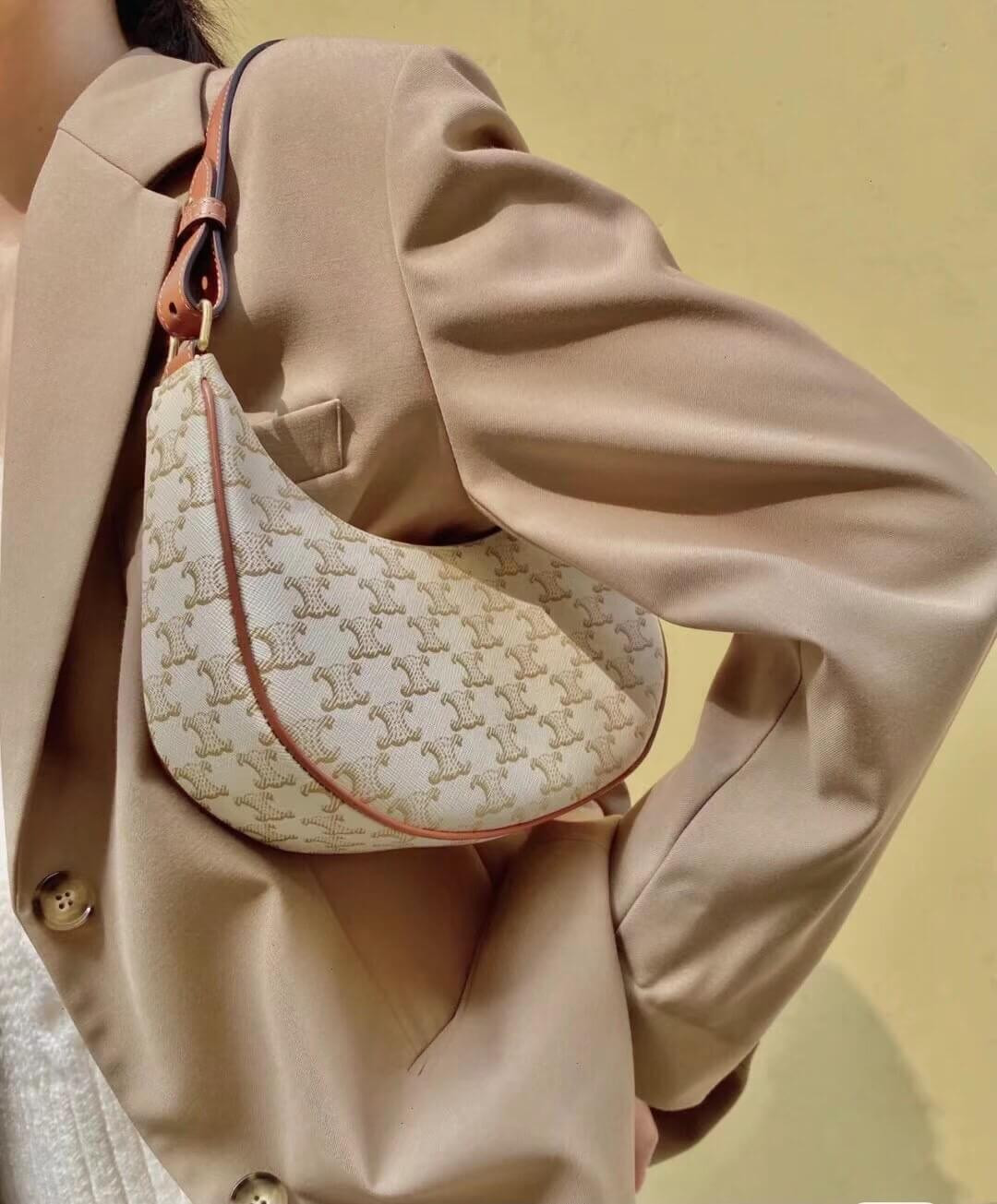 Celine Ava Bag In Triomphe Canvas 193952 White