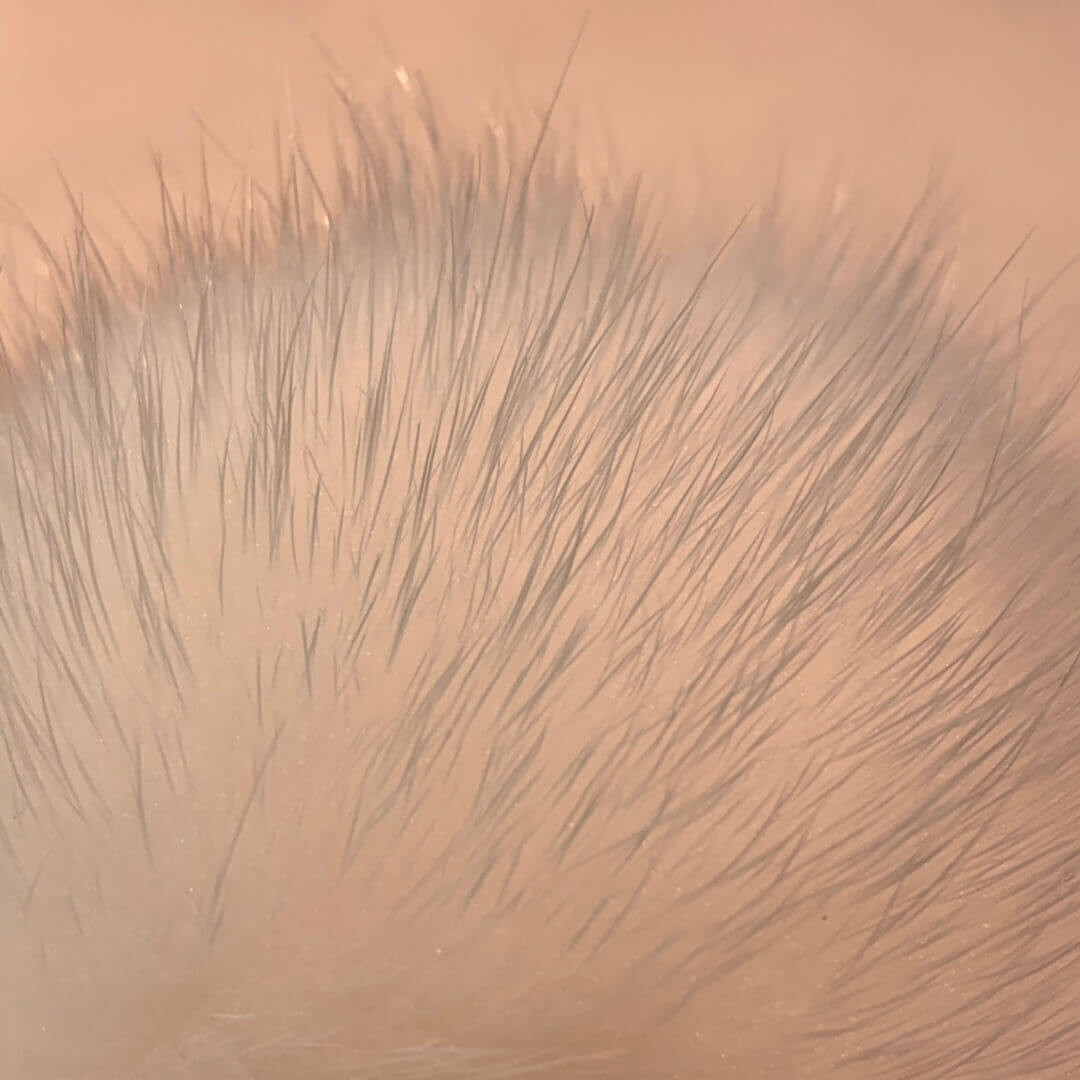 Louis Vuitton Flower Finesse Fur Bag Charm And Key Holder M69001