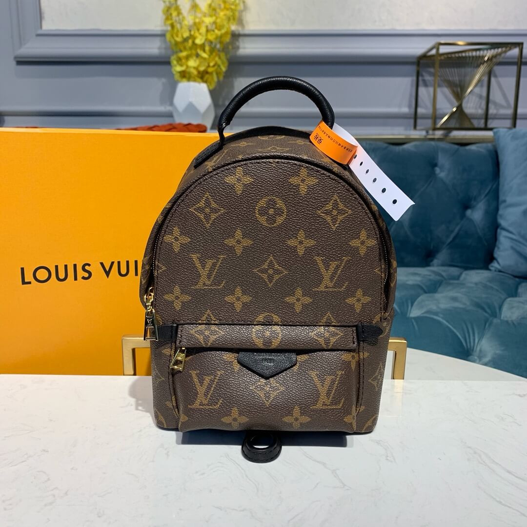 Louis Vuitton Monogram Canvas Palm Springs Backpack Mini M41562