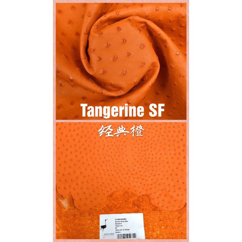 Hermes makes exclusive leather wild South African ostrich skin: 93 classic orange