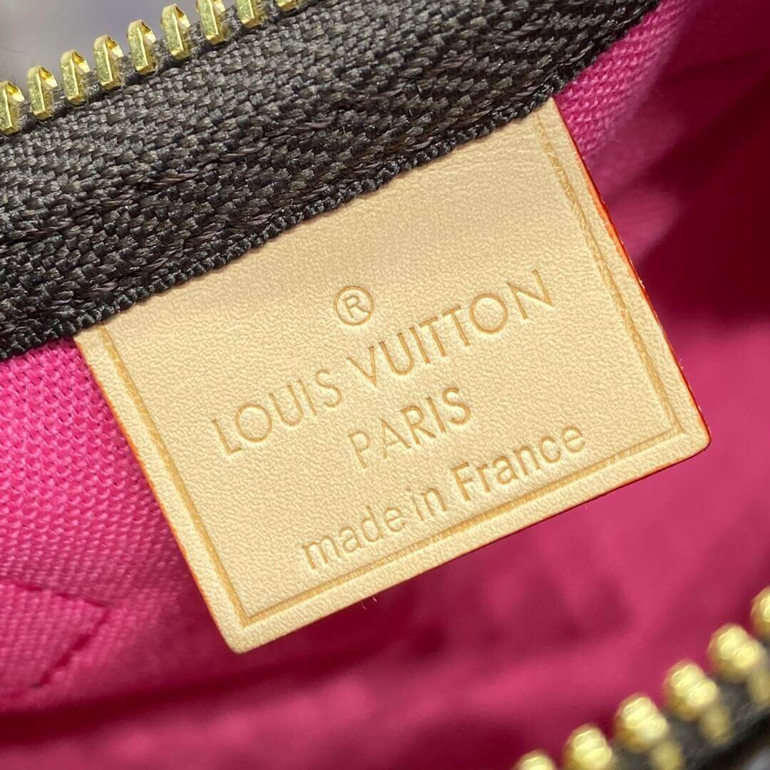 Louis Vuttion Monogram Nano Speedy M82624 Vivienne Print