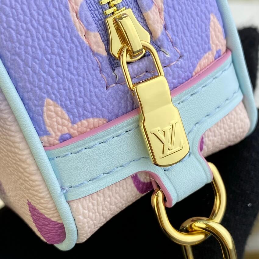Louis Vuitton Wapity Case M81339