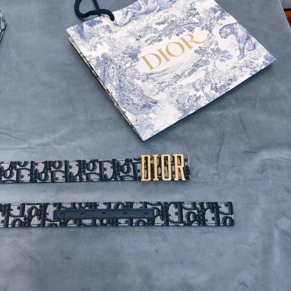 Christian Dior Saddle D-Fence 30mm Belt 441463