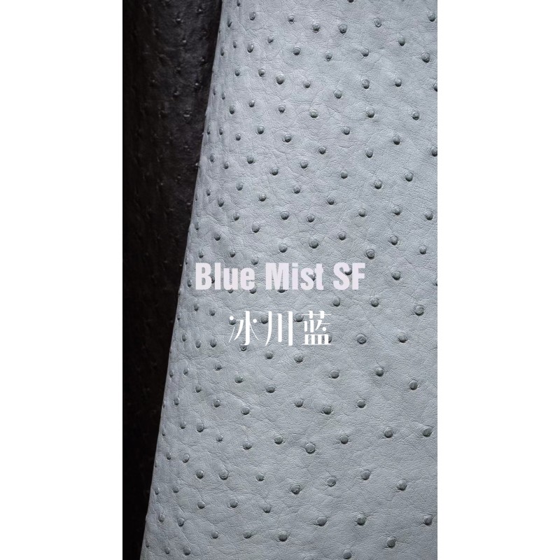 Hermes makes exclusive leather wild South African ostrich leather:8U glacier blue