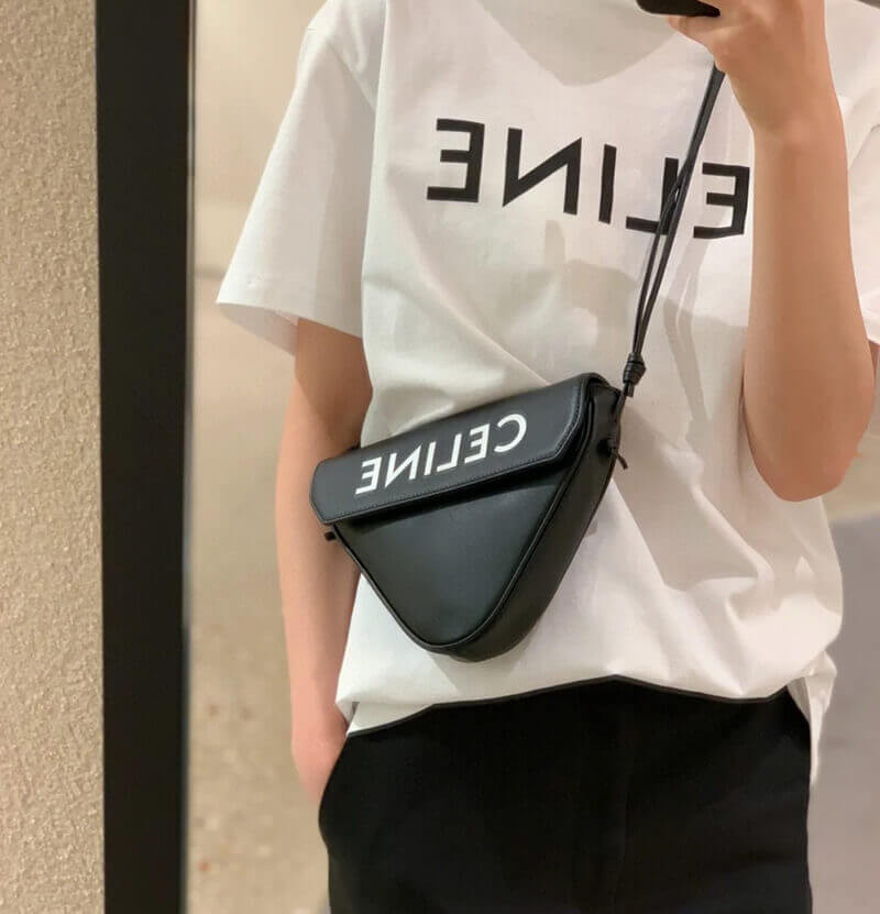 Celine Triangle Bag In Smooth Calfskin With Celine Print 195903