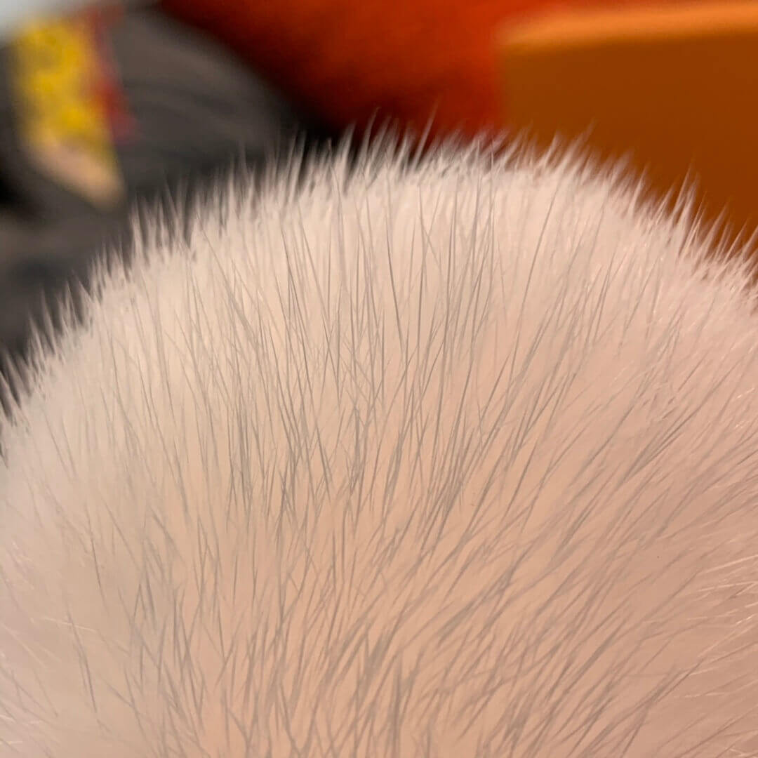 Louis Vuitton Penguin Fur Bag Charm And Key Holder M69007