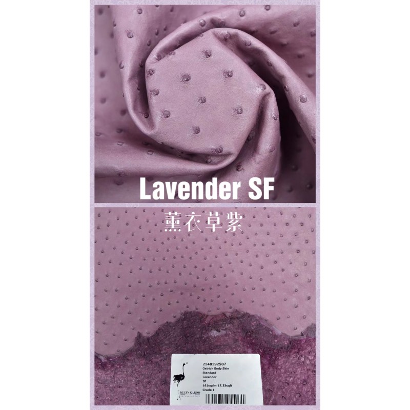 Hermes makes exclusive leather wild South African ostrich leather: 5H lavender purple