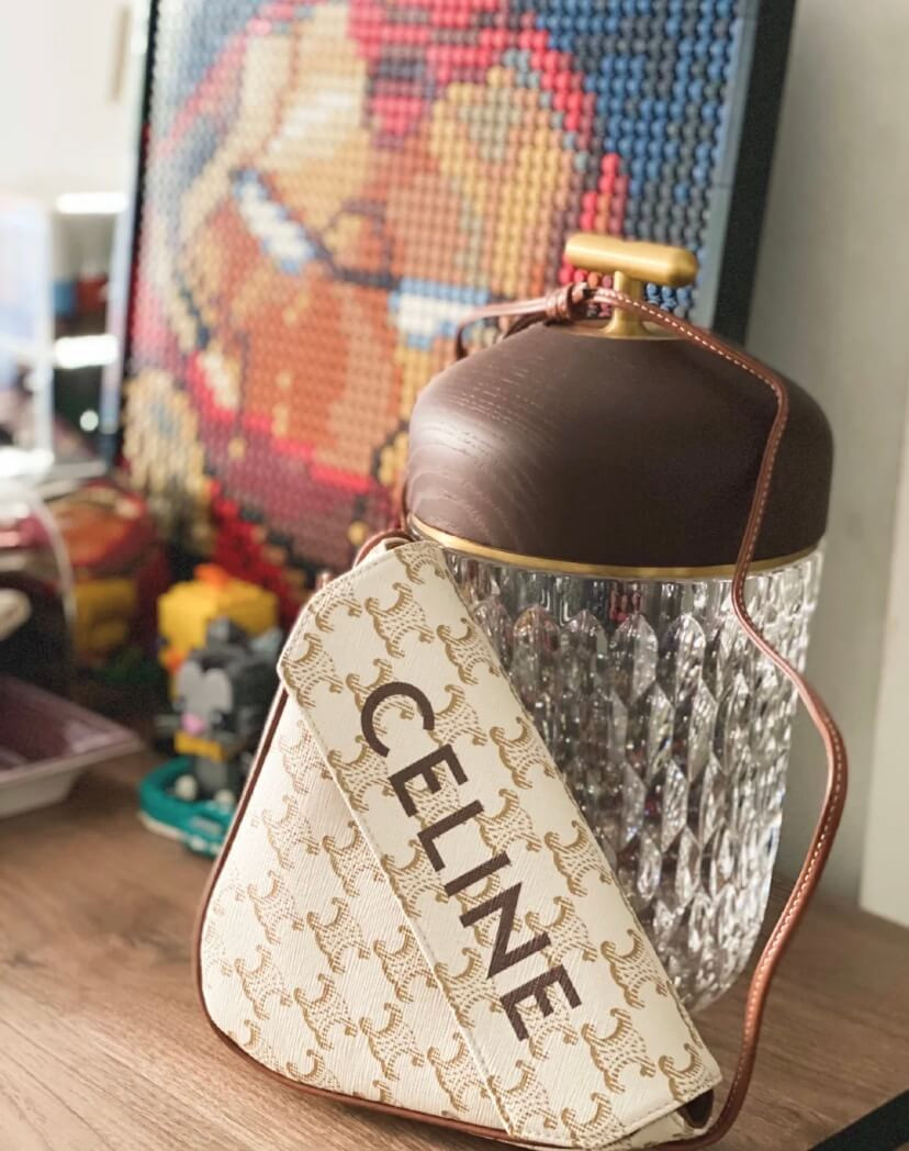 Celine Triangle Bag In Triomphe Canvas With Celine Print 195902