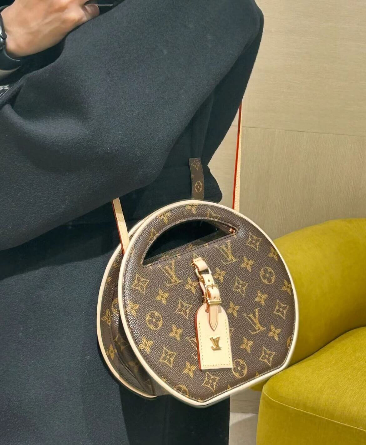 Louis Vuitton Monogram Canvas Around Me PM Bag M47117