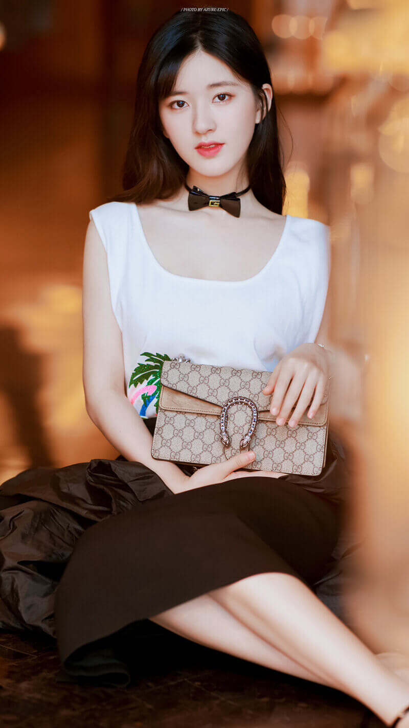 Gucci Dionysus GG Canvas Small Shoulder Bag 499623