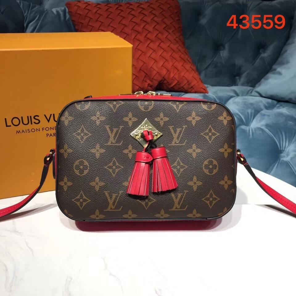 Louis Vuitton Monogram Canvas Saintonge M43559