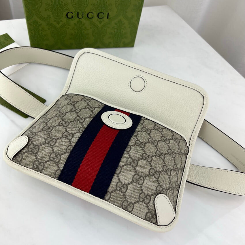 Gucci Ophidia Belt Bag 674081