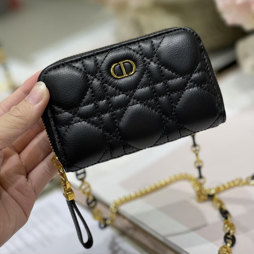 Christian Dior Mini Caro Zipped Pouch S5087