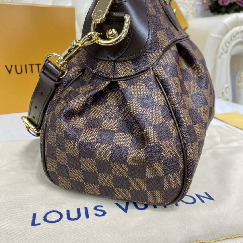 Louis Vuitton Damier Ebene Trevi PM N51197