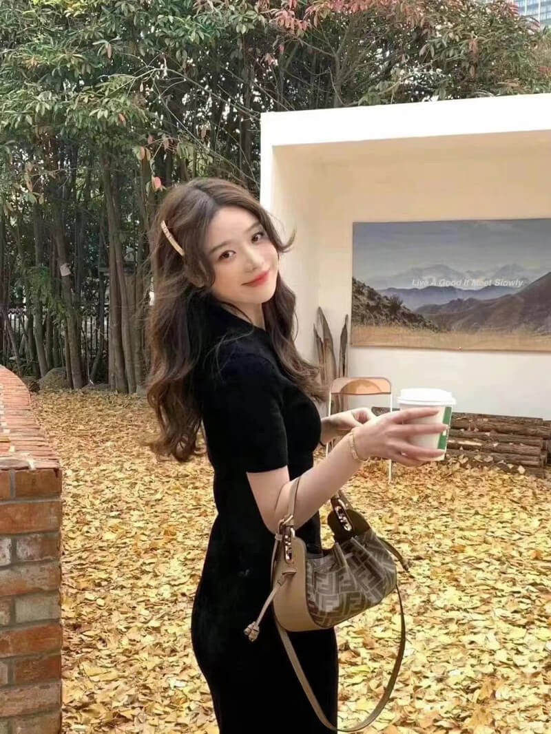 Fendi Pomodorino Brown FF Fabric Mini Bag 8BS059