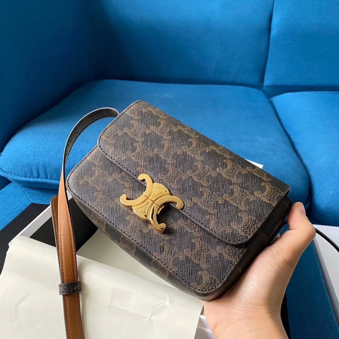 Celine Nano Triomphe Bag In Triomphe Canvas 191902