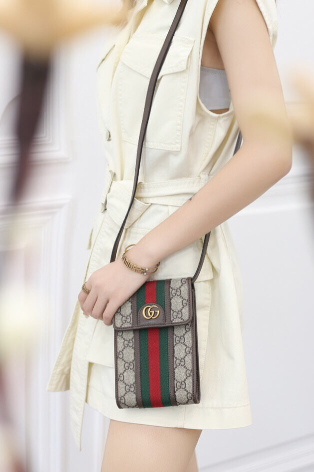 Gucci Ophidia Mini Bag 625757