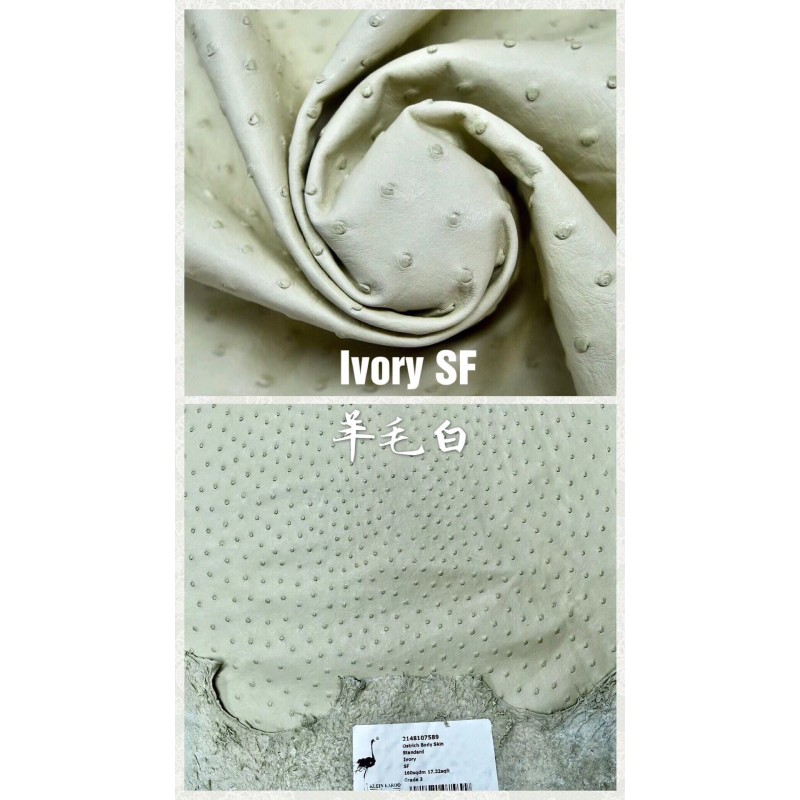 Hermes makes exclusive leather wild South African ostrich leather:3C wool white