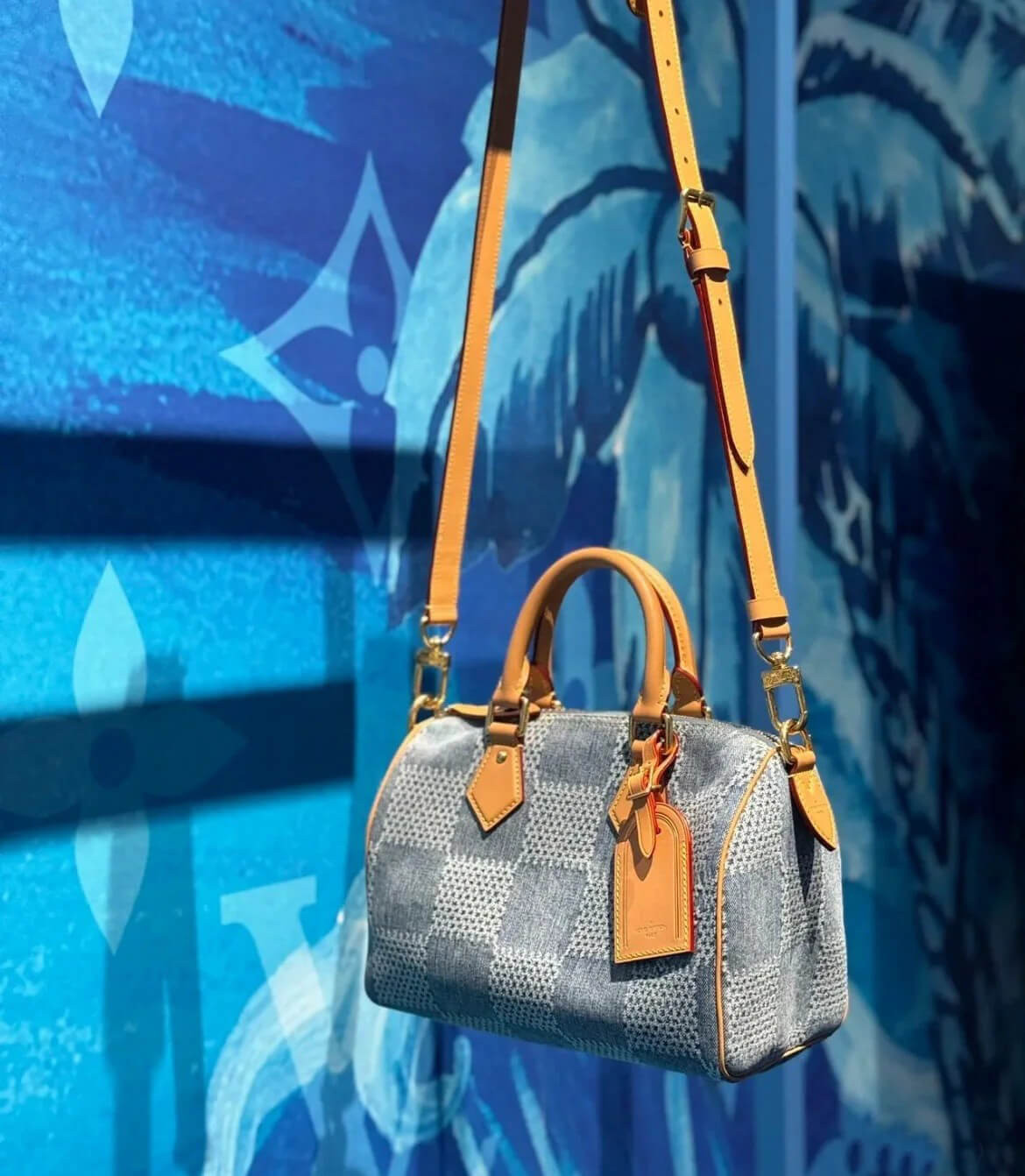 Louis Vuitton Speedy 25 Damier Denim 3D N40700