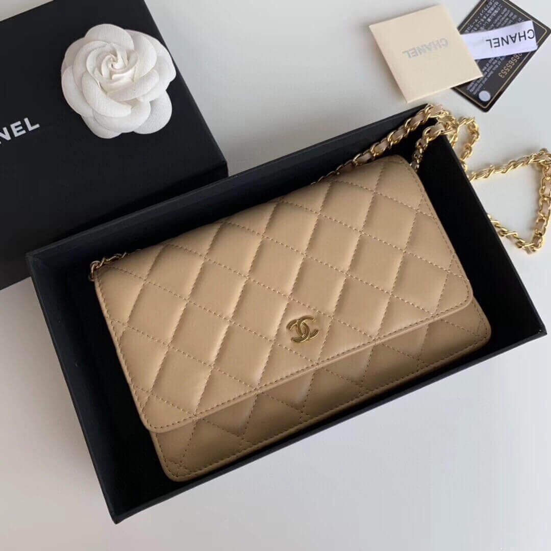 Chanel Classic Lambskin Wallet On Chain WOC AP0250