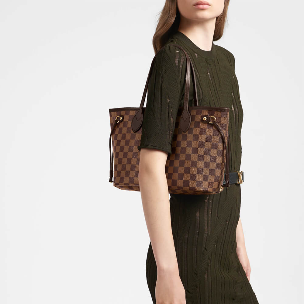 Louis Vuitton Damier Ebene Neverfull PM N41359