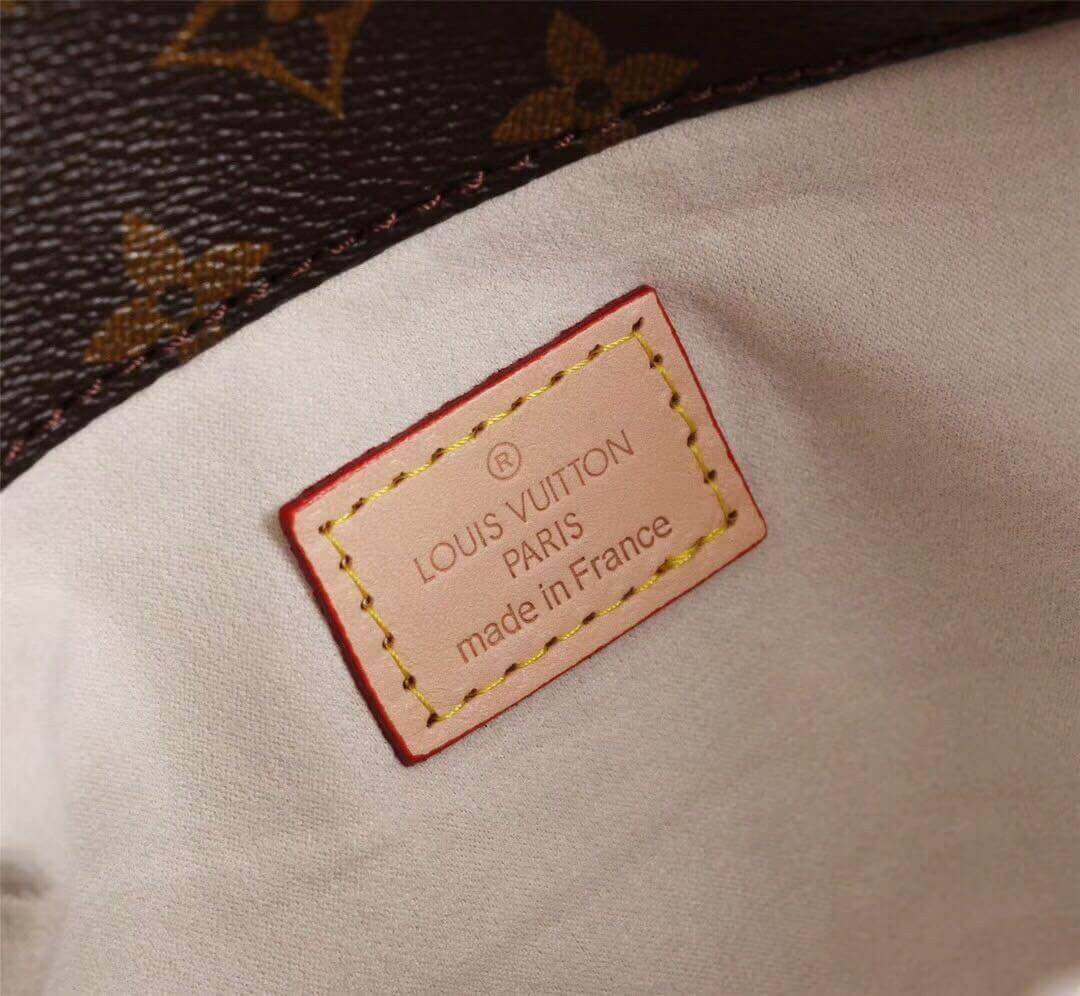 Louis Vuitton Monogram Canvas Artsy MM M40249