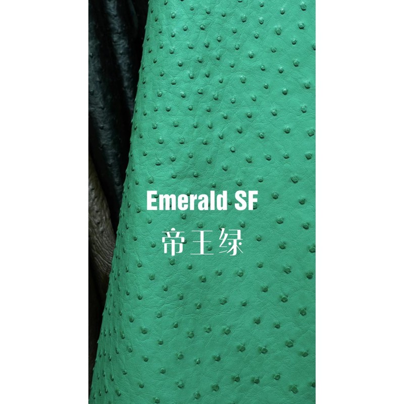 Hermes makes exclusive leather wild South African ostrich leather:06 Imperial Green