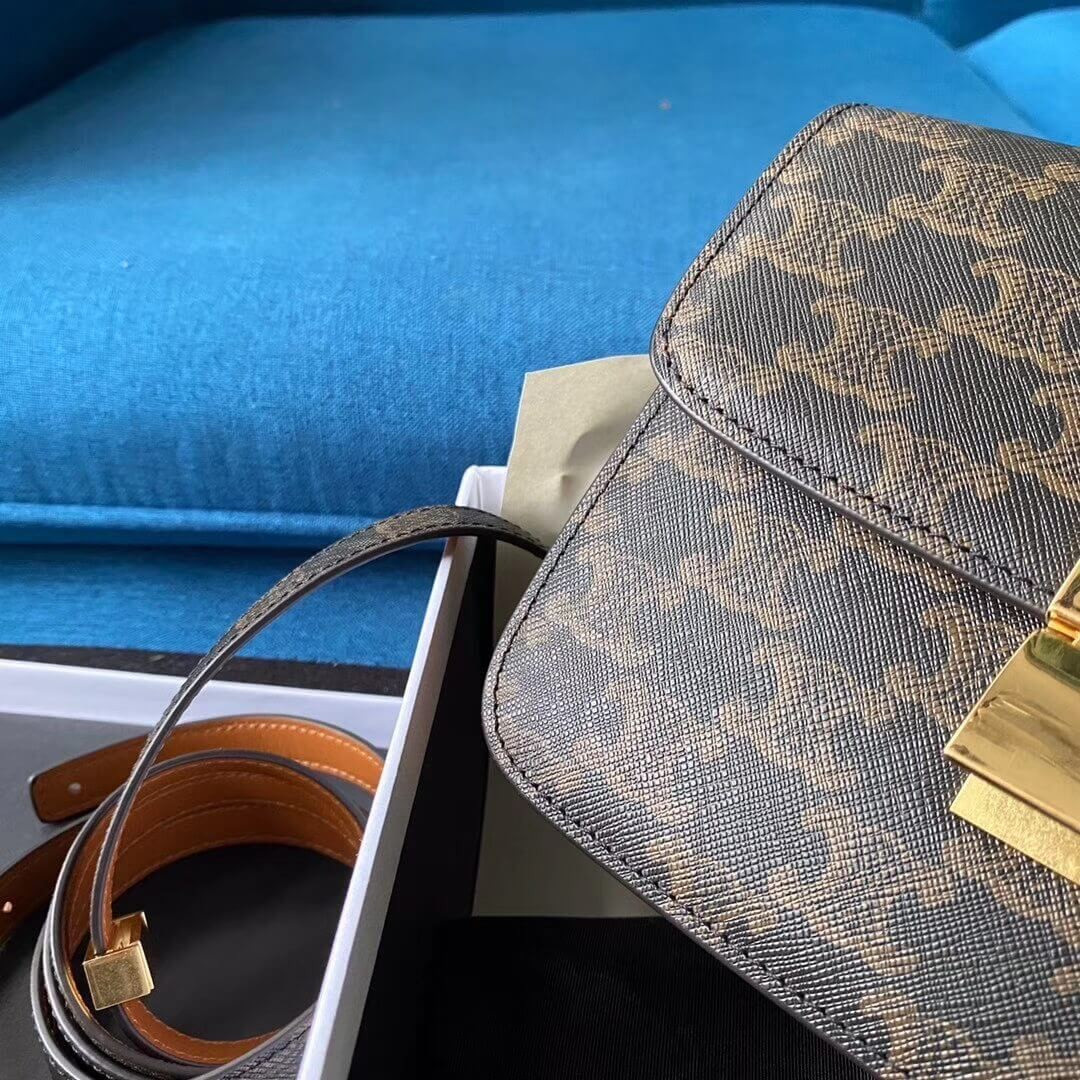 Celine Small Classic Bag In Triomphe Canvas 189183