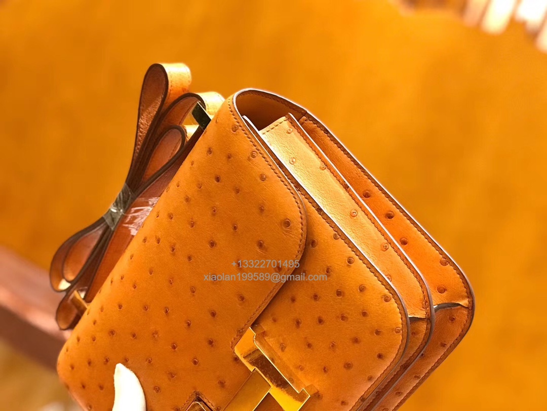 Hermès Constance 18/24 in Ostrich Leather, Premium Fully Handmade Exclusive Customization –Gold Brown