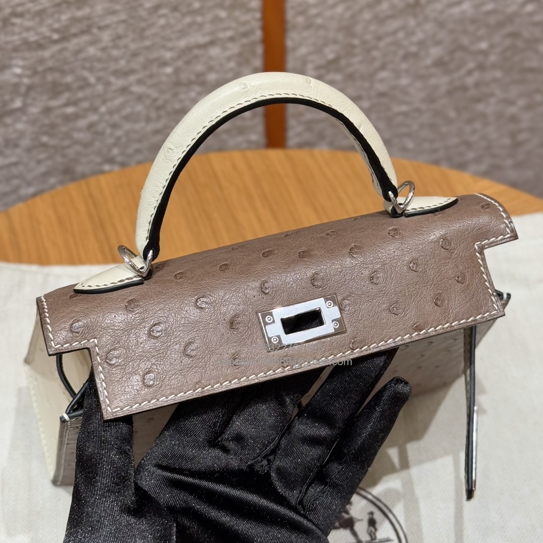 Hermès Mini Kelly Sellier II 20 in Ostrich Leather 81/Girs tourtelle and 8L/Beton