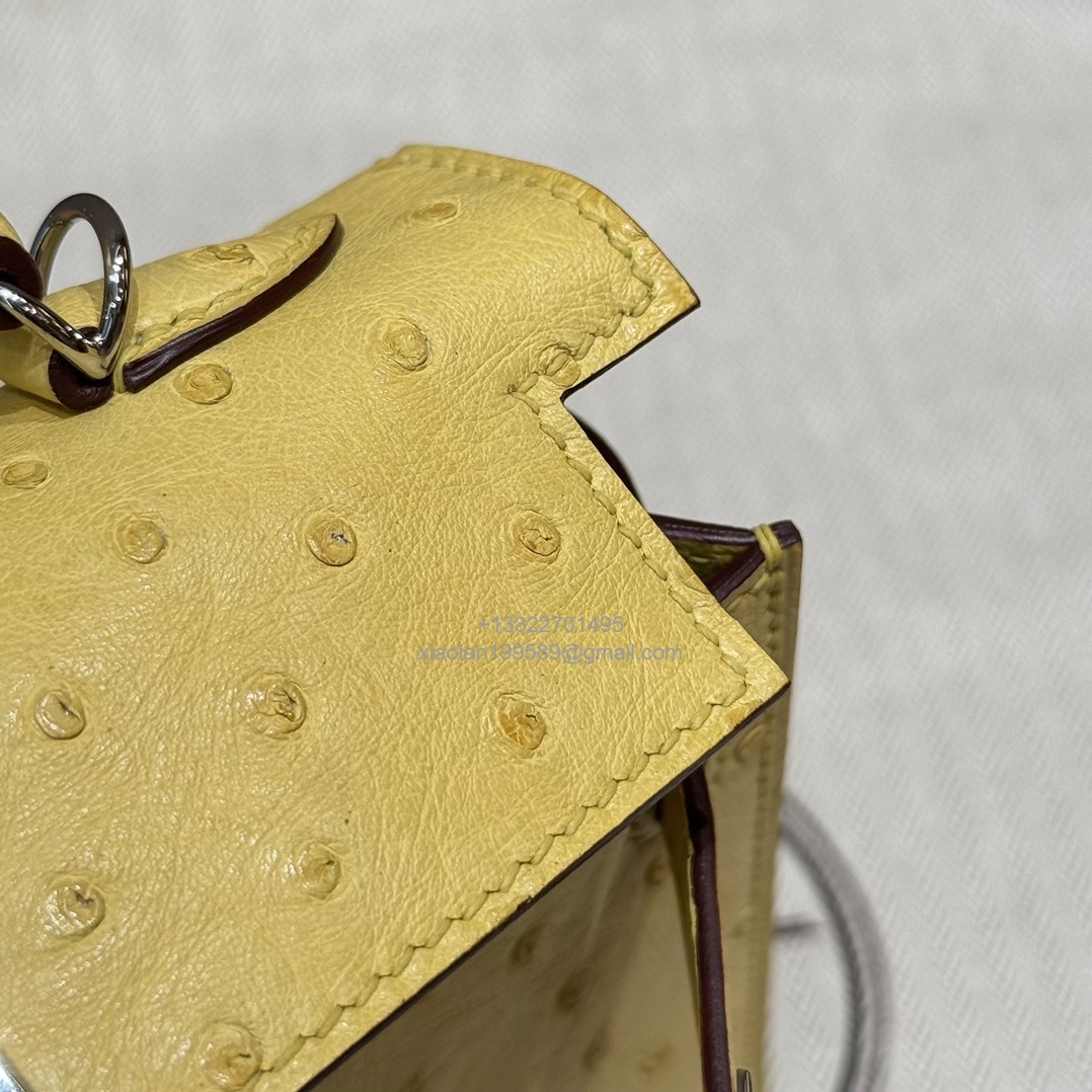 Hermès Mini Kelly Sellier II 20 in Ostrich Leather  9R/Lime