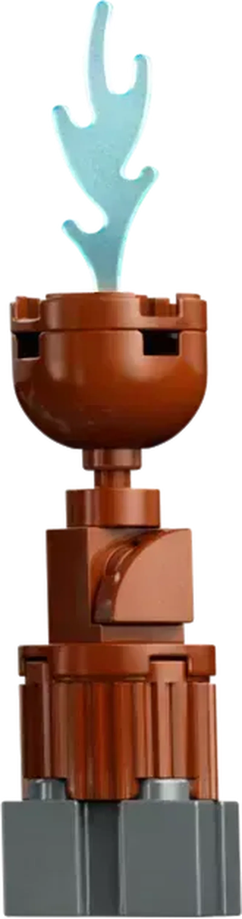 LEGO Toverschool Toernooi: de aankomst 76440 Harry Potter