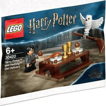 LEGO Harry Potter en Hedwig 30420 Harry Potter Polybag