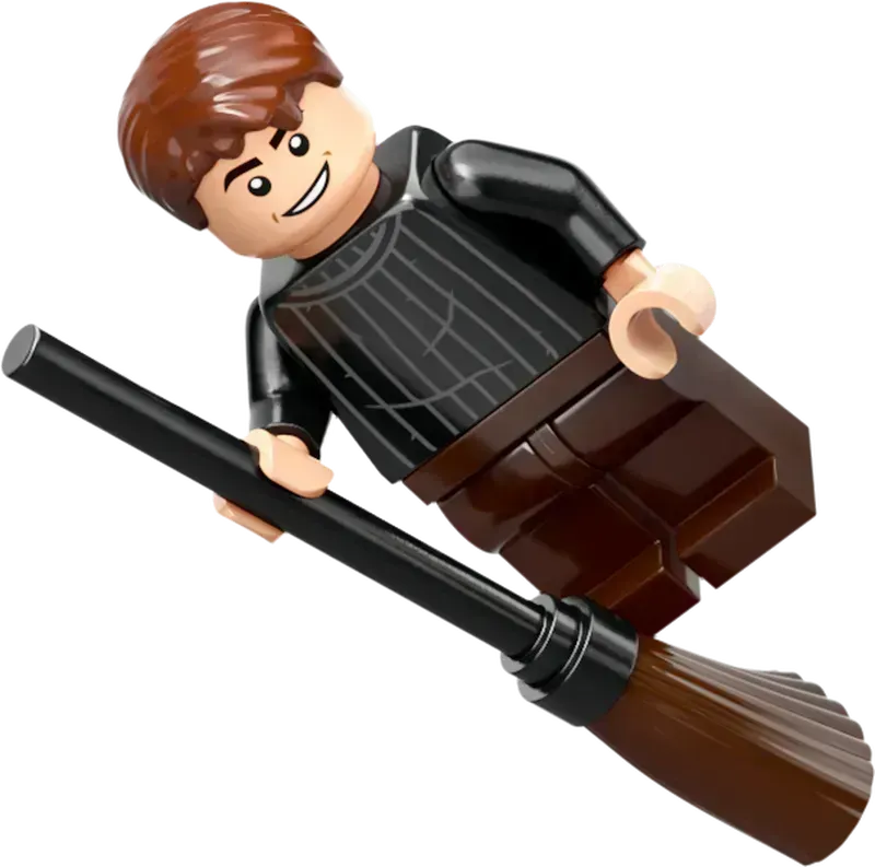 LEGO Vliegles bij Kasteel Zweinstein 76447 Harry Potter