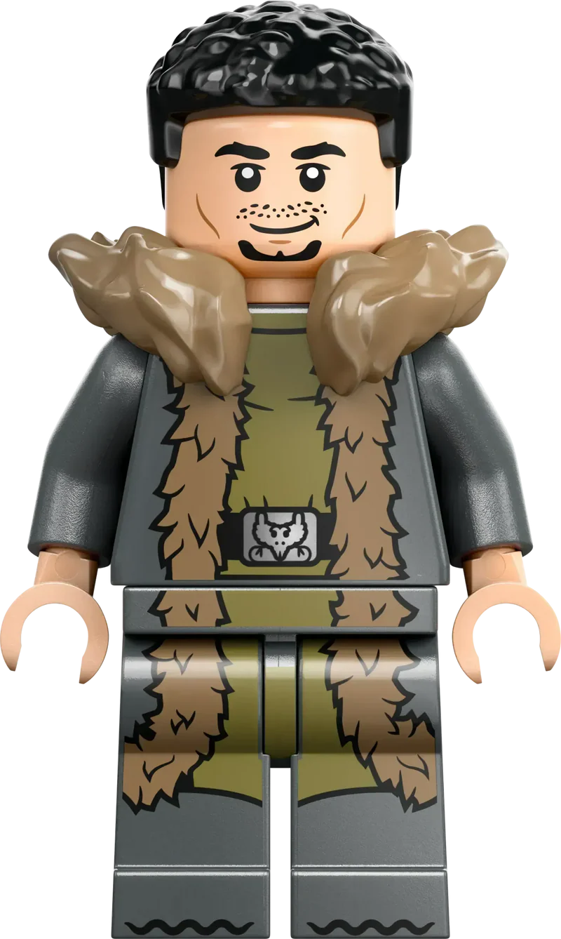LEGO Toverschool Toernooi: de aankomst 76440 Harry Potter
