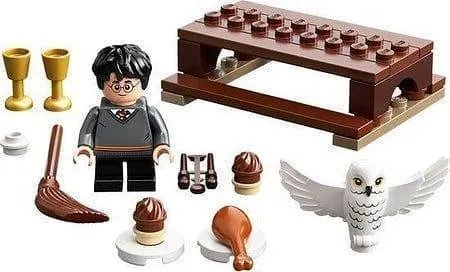 LEGO Harry Potter en Hedwig 30420 Harry Potter Polybag