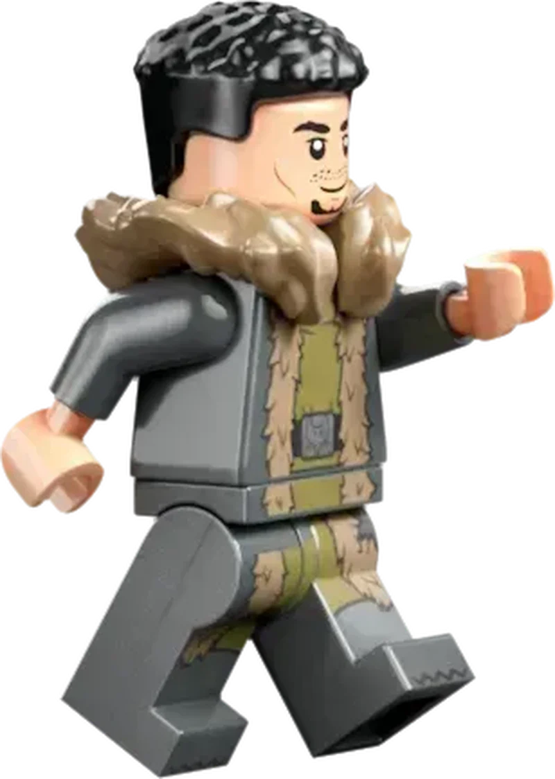 LEGO Toverschool Toernooi: de aankomst 76440 Harry Potter