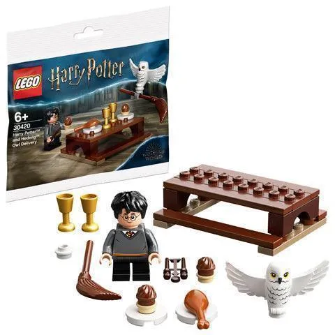 LEGO Harry Potter en Hedwig 30420 Harry Potter Polybag