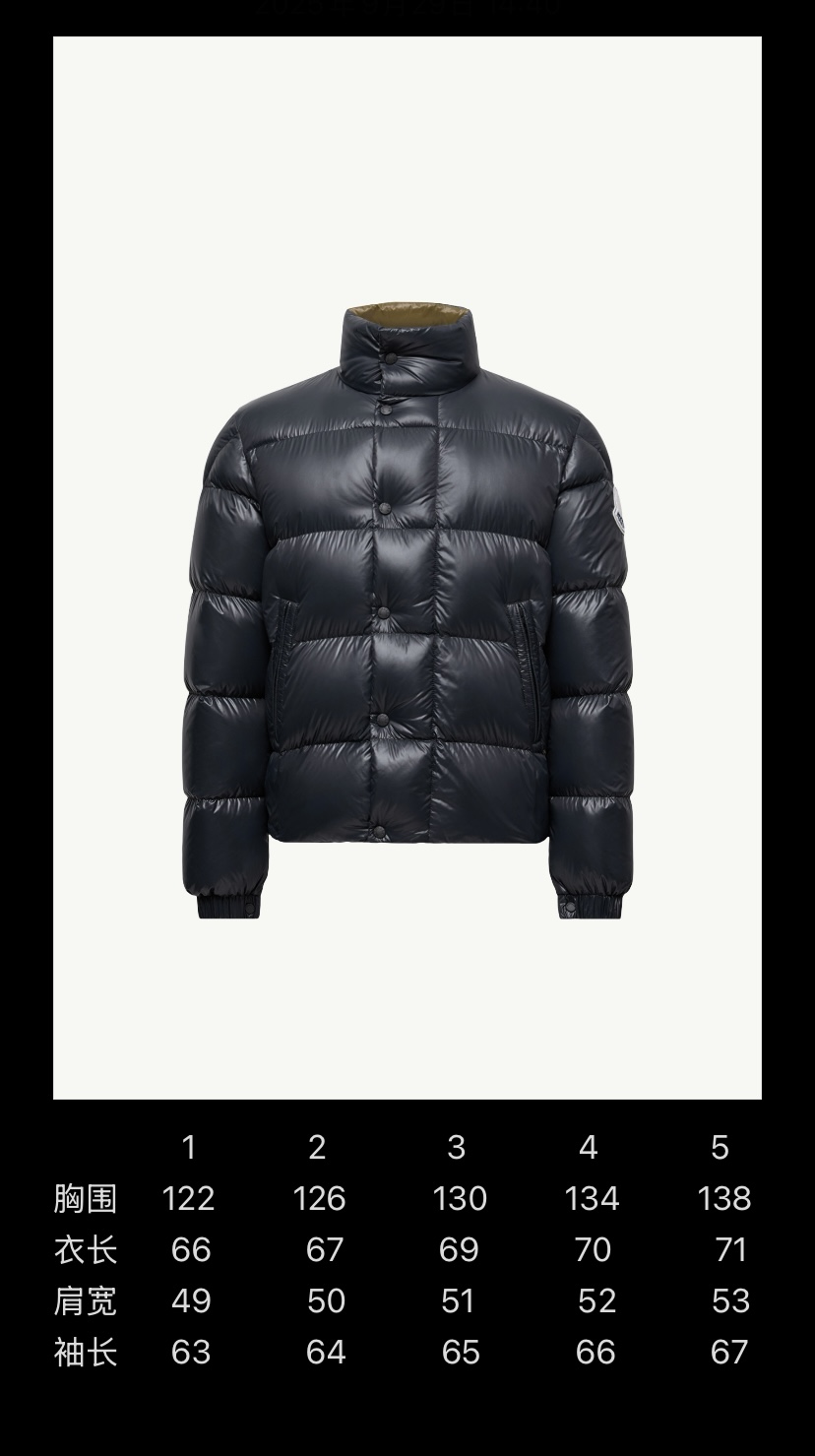 moncler palm angles