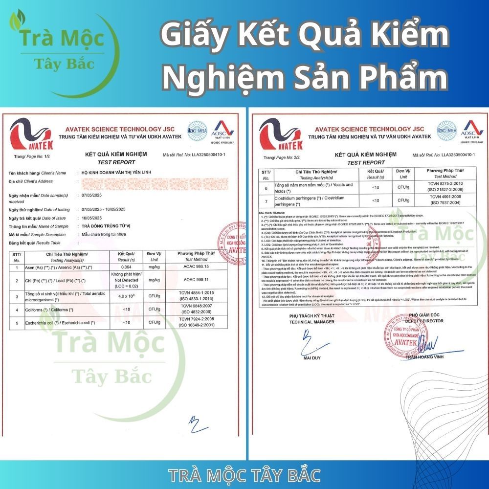 ឈុតលក់រាយ តែដង្កូវមាស (Cordyceps Tea) ៤ រសជាតិ