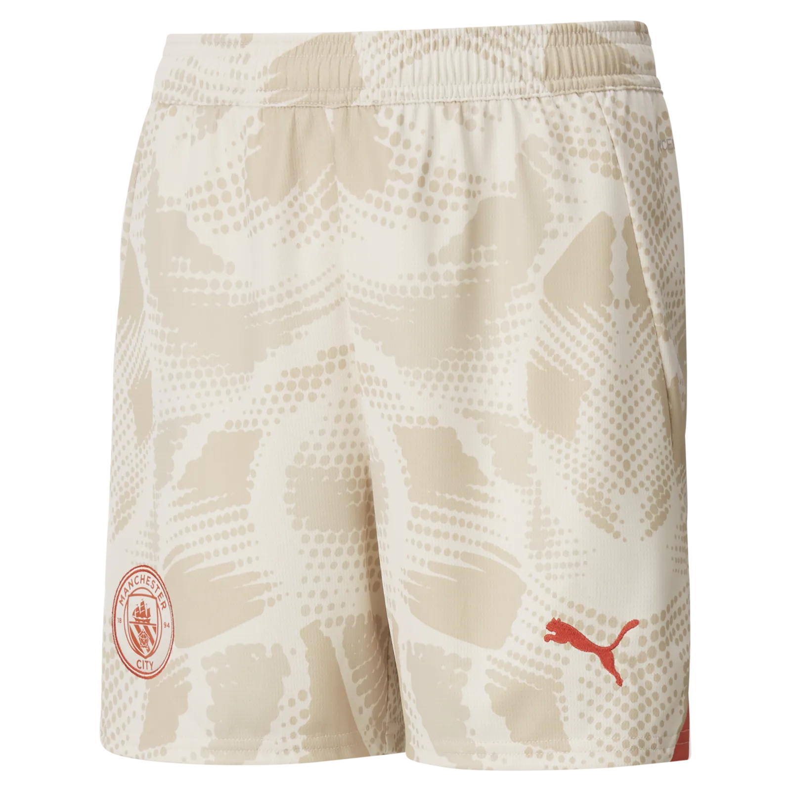 Manchester City Goolkeeper Football Shorts  24-25