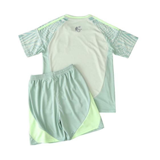 Kids Mexico Adidas Copa América Away Soccer Kits 2024