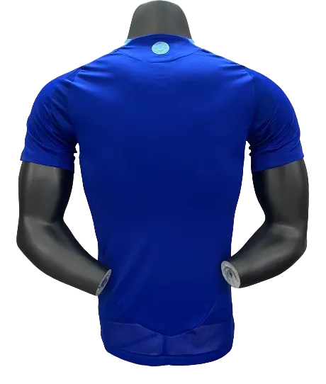 Argentina Copa America 2024 Away Jersey Player Version