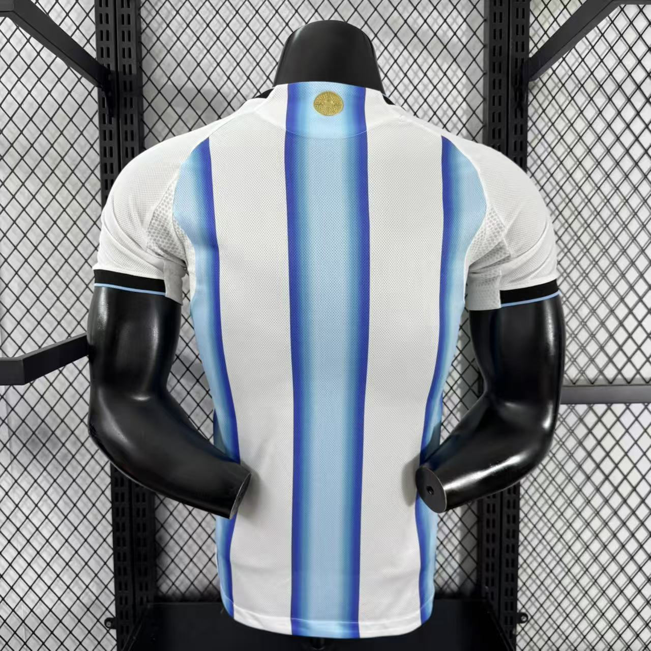 Player Version 2025 Argentina Home Jersey