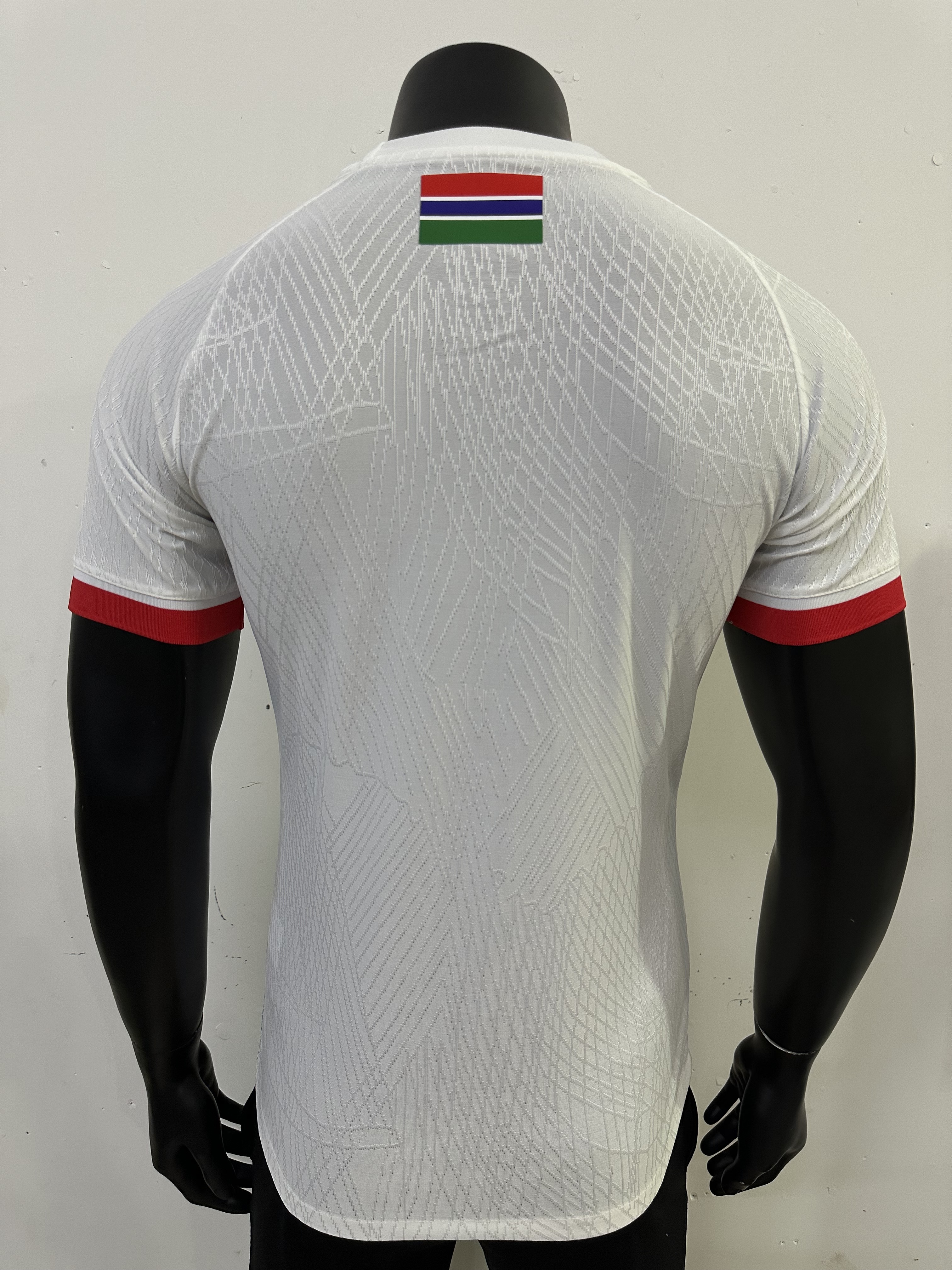 Gambia 2025 Home Player Man Jersey