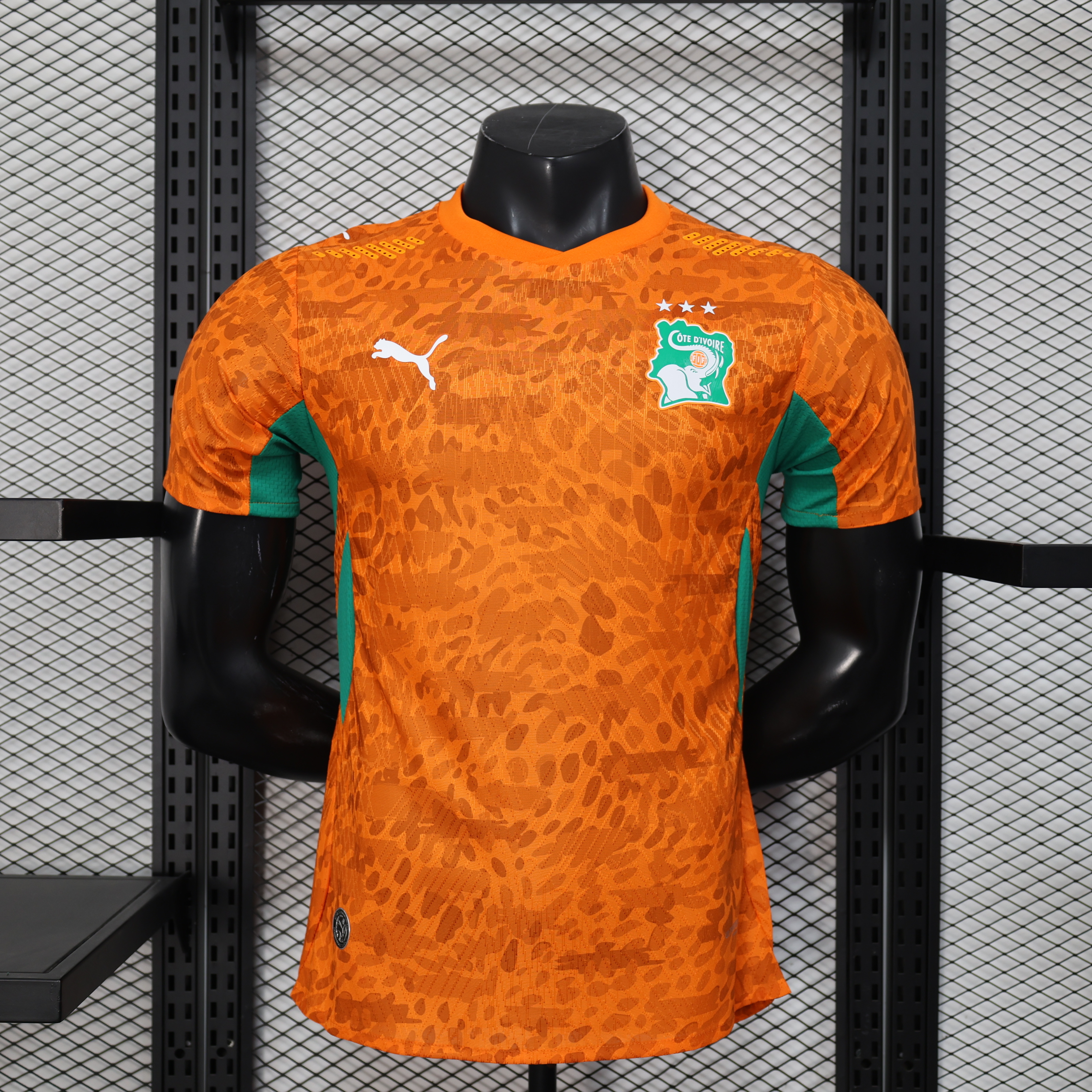 Ivory Coast 2026 World Cup Home Player Men Jersey