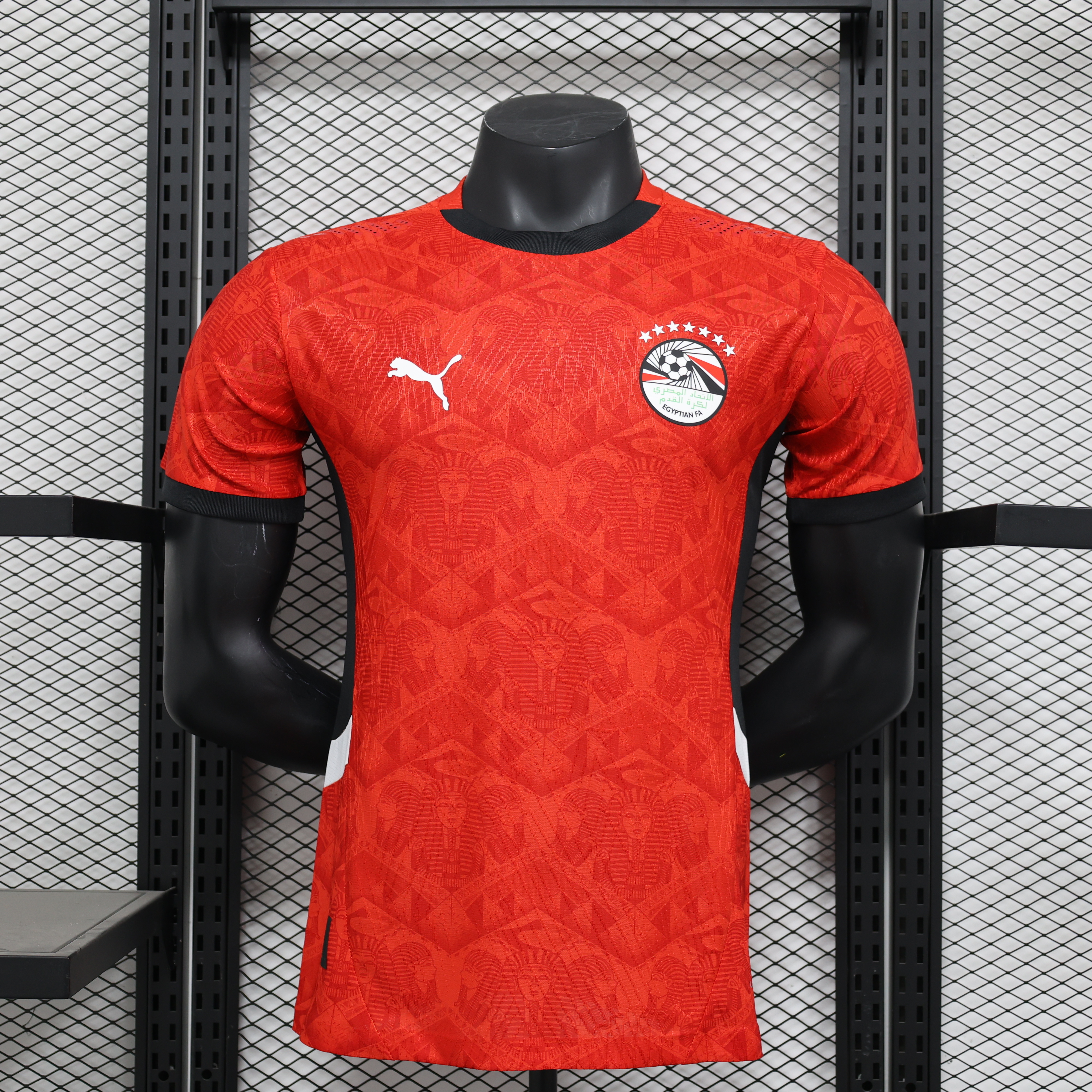 Egypt 25-26 Home Player Jersey