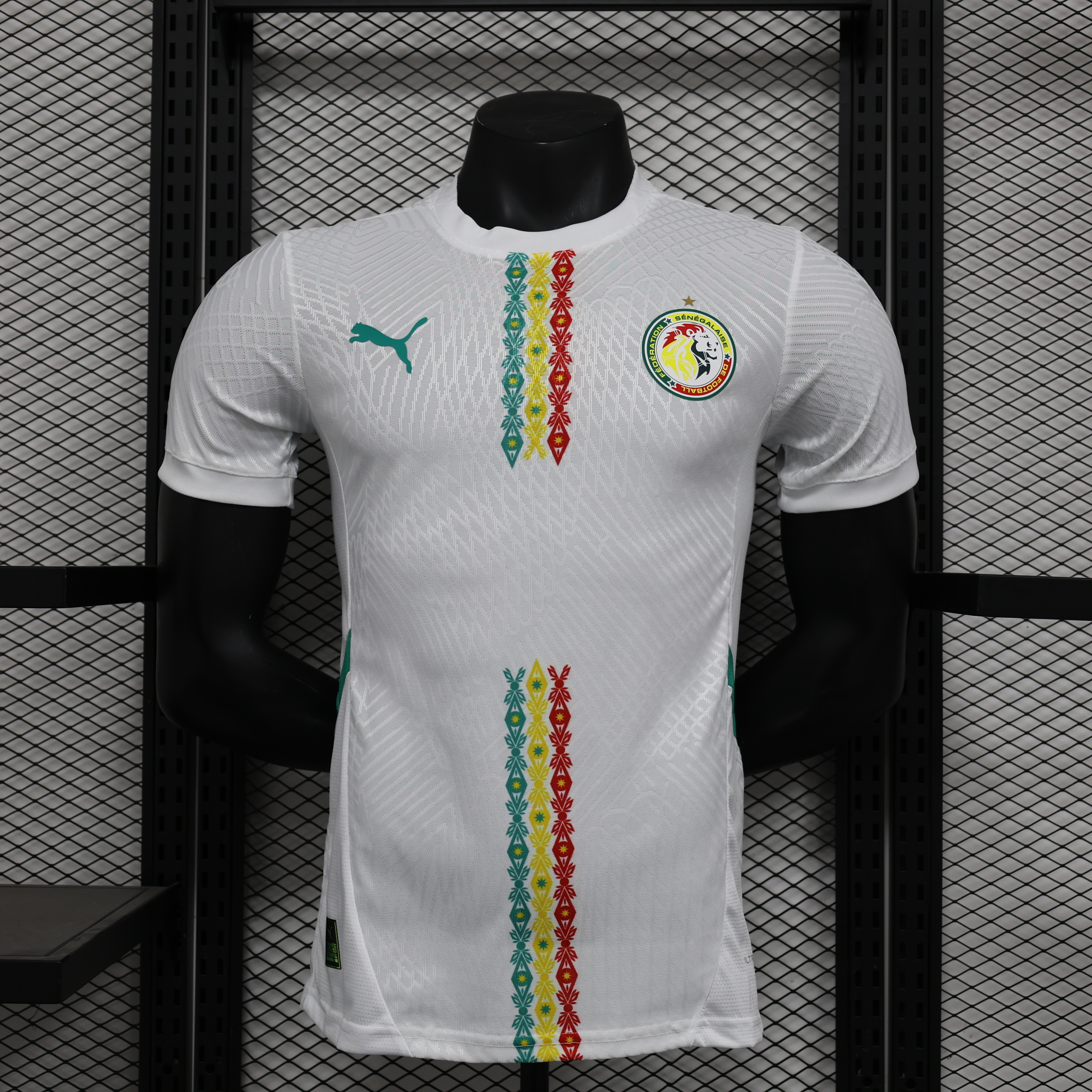 Senegal 25-26 Away Player Jersey