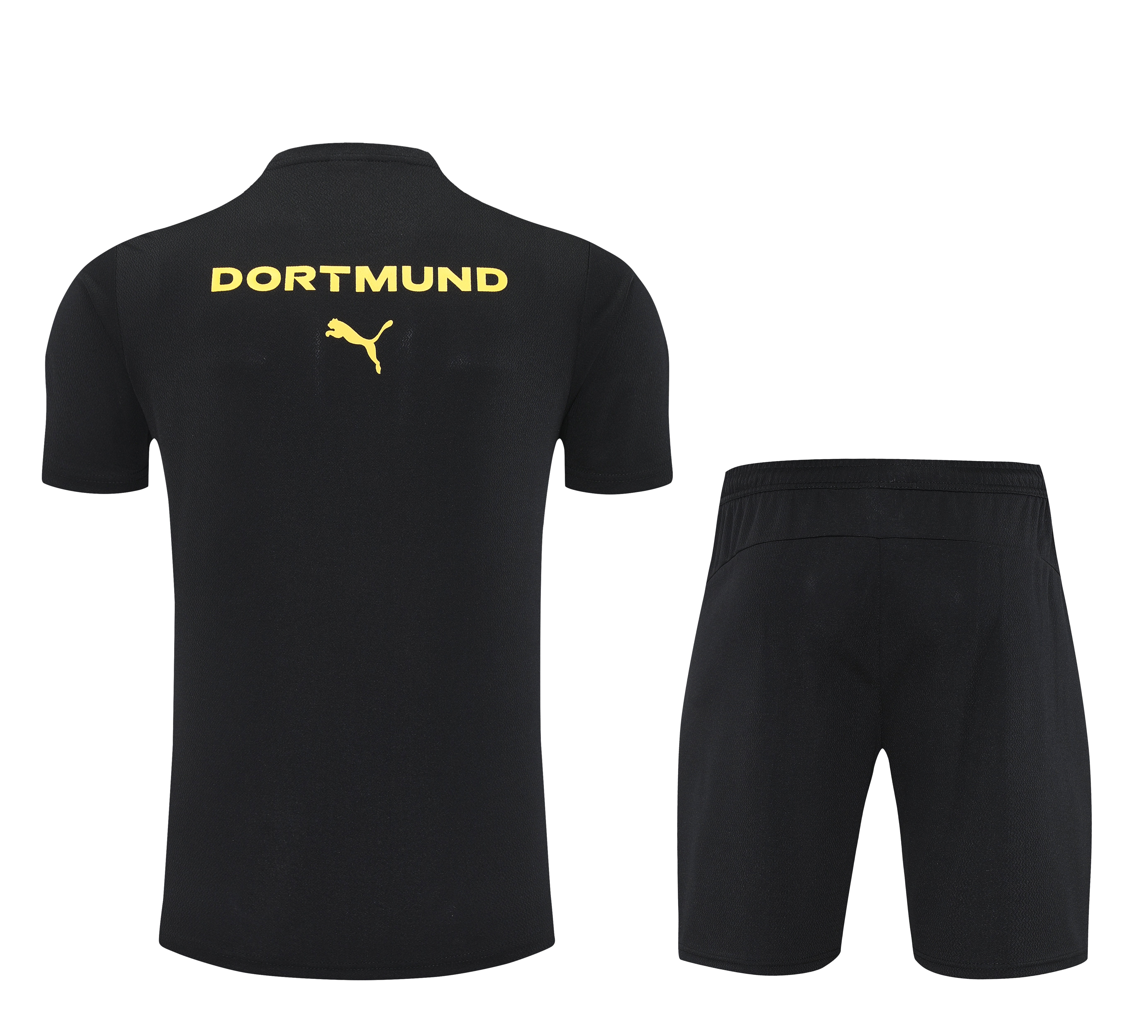 Borussia Dortmund Training Short Sleeve kits 25-26